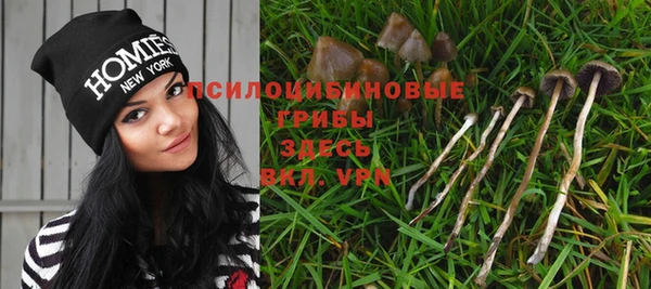 сатива Снежинск